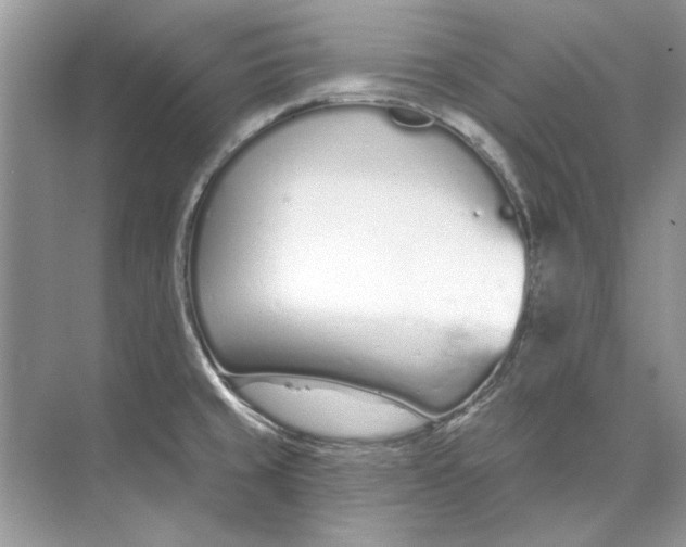 X0000074321429200609230015