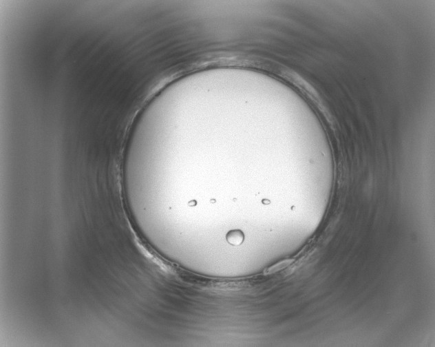 X0000074321433200609230015