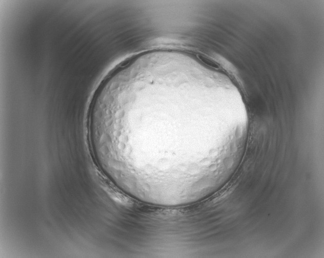 X0000074321435200609230015