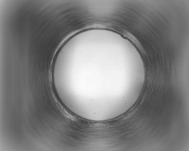 X0000074321436200609230015