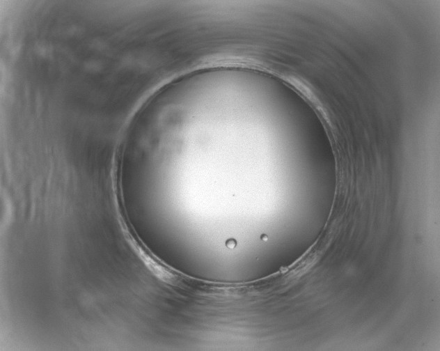 X0000074321438200609230015