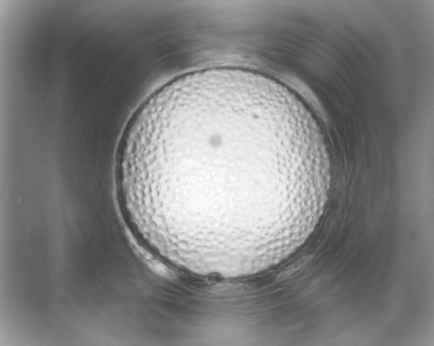 X0000074321439200609230015