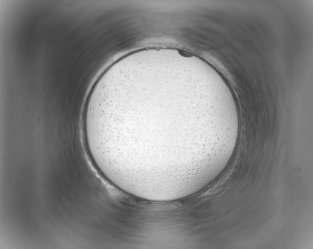 X0000074321440200609230015