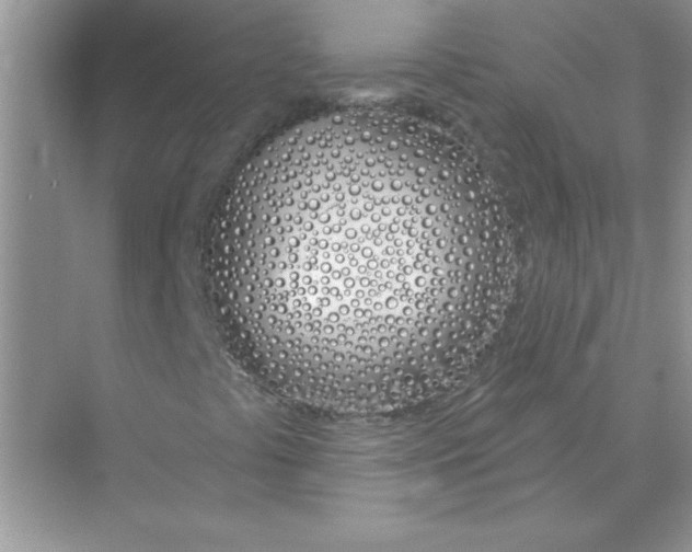 X0000074321441200609230014