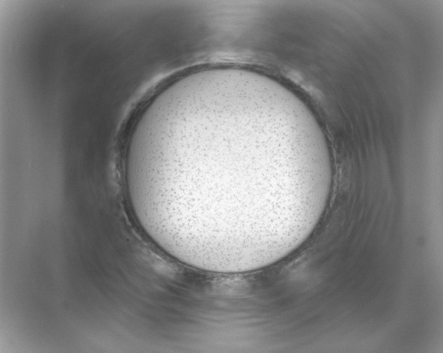 X0000074321454200609230014