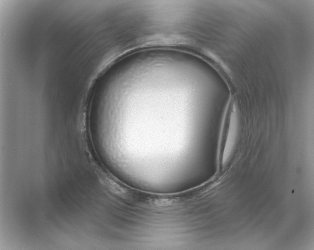 X0000074321459200609230014