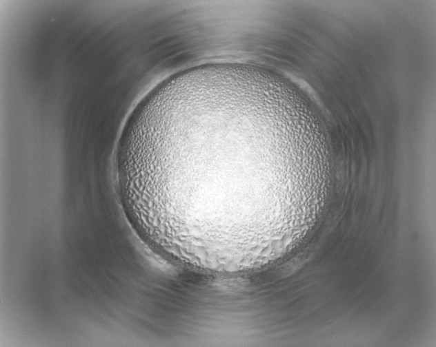 X0000074321466200609230014