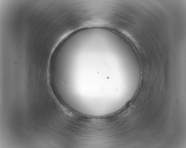 X0000074321469200609230014