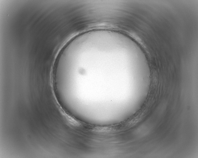 X0000074321474200609230014