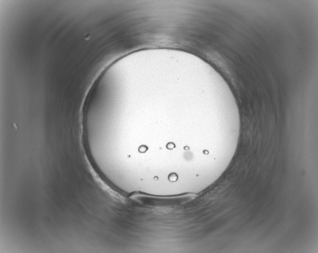 X0000074321479200609230014