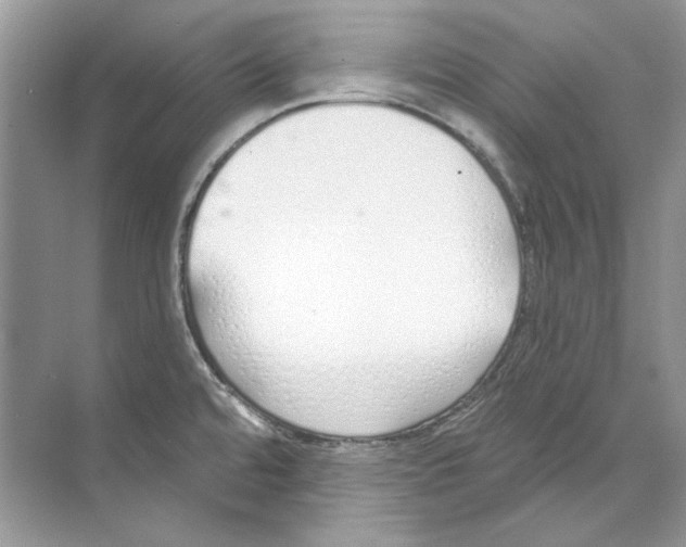 X0000074321480200609230014