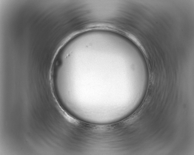 X0000074321482200609230014