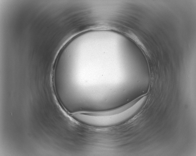 X0000074321484200609230013