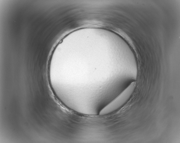 X0000074321488200609230013