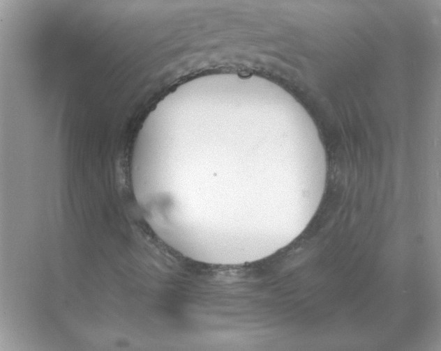 X0000074321490200609230013