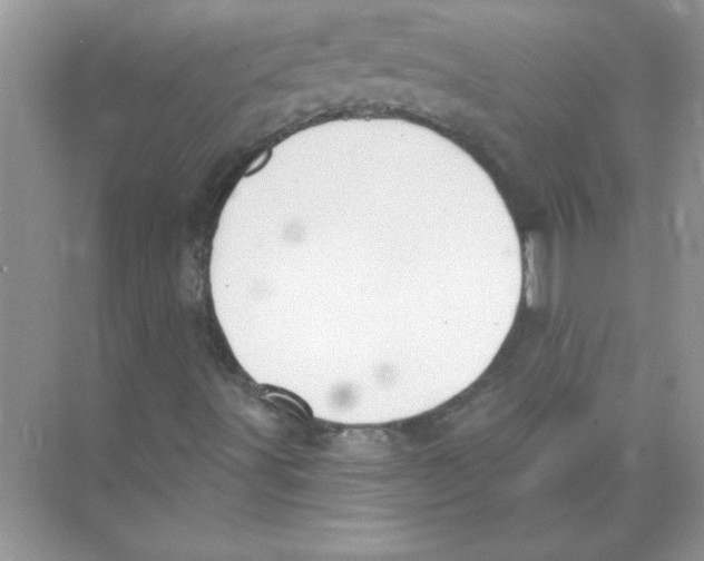 X0000074321491200609230013