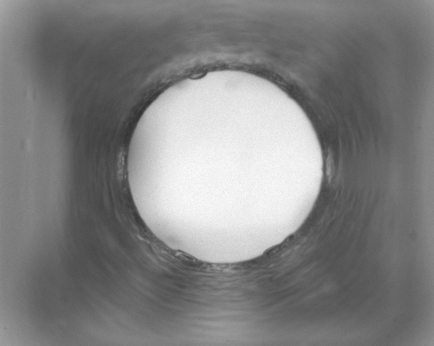 X0000074321492200609230013