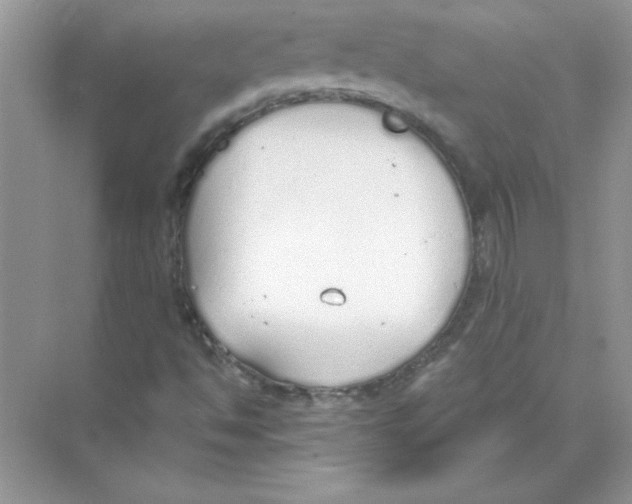 X0000074321494200609230013