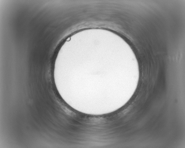 X0000074321498200609230013