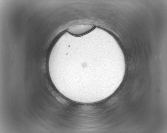 X0000074321499200609230013