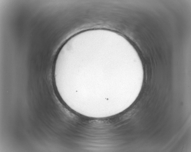 X0000074321500200609230013