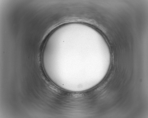 X0000074321501200609230013