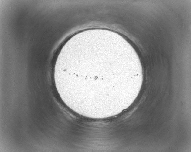 X0000074321502200609230013