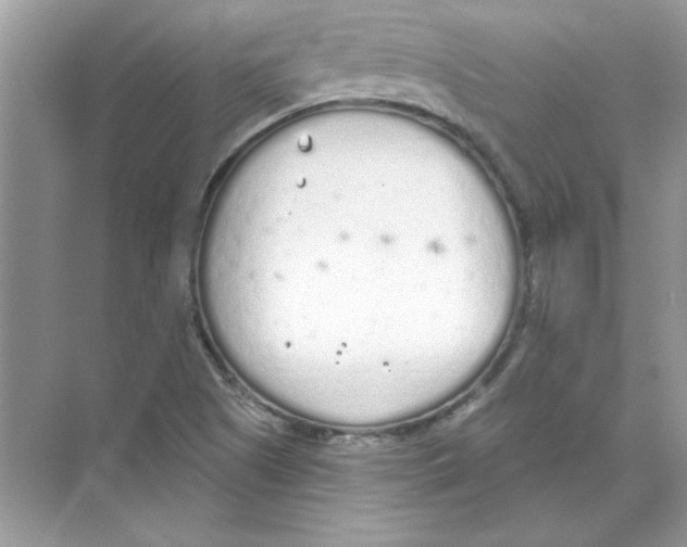 X0000074321505200609230013