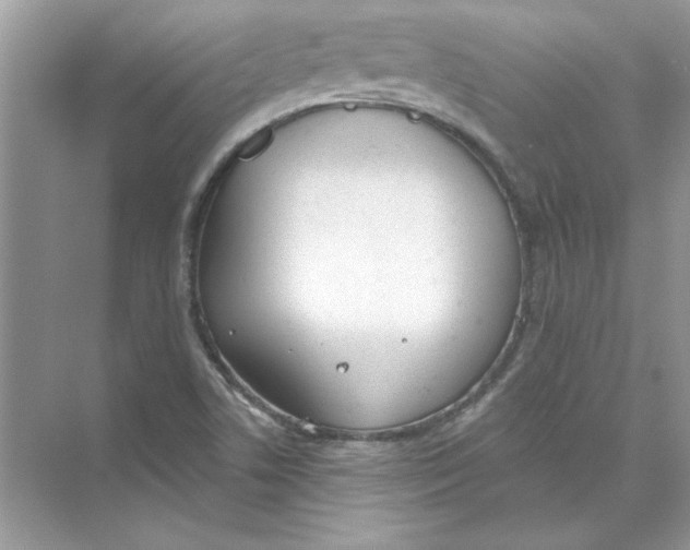 X0000074321506200609230013