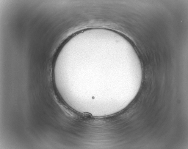 X0000074321507200609230013