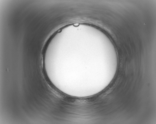 X0000074321509200609230013