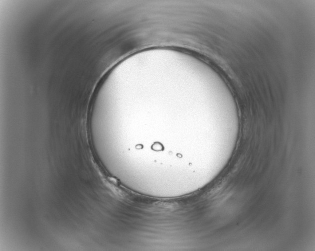 X0000074321513200609230013