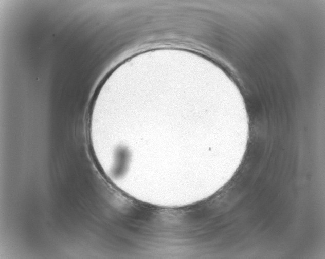 X0000074321514200609230013