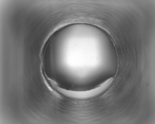 X0000074321515200609230013