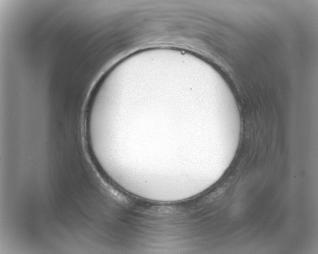 X0000074321517200609230013