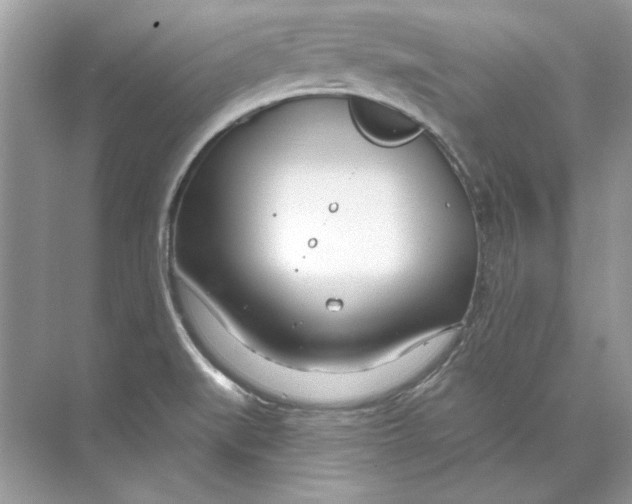 X0000074321519200609230013