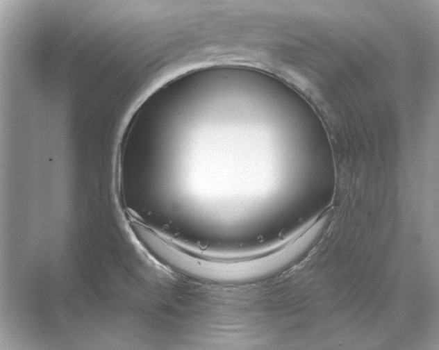 X0000074321520200609230013