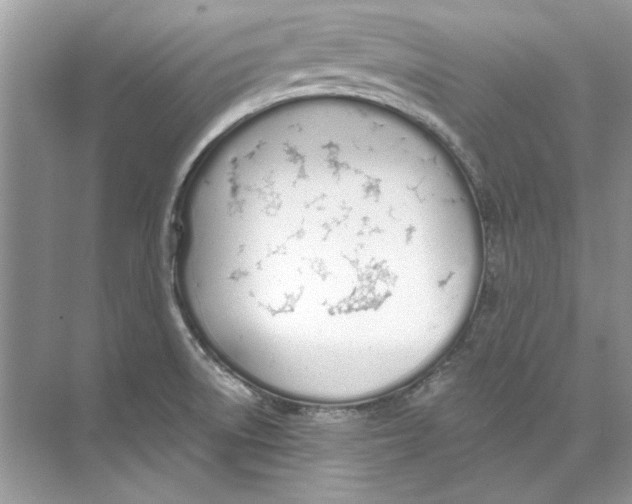 X0000074321522200609230013