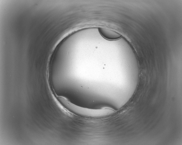 X0000074321523200609230013