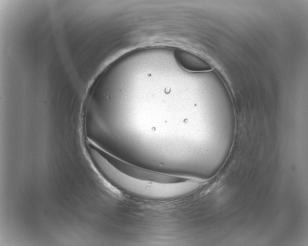 X0000074321525200609230013