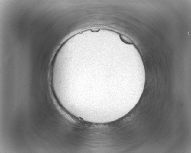 X0000074321526200609230013