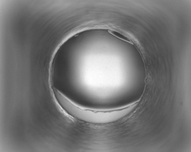 X0000074321528200609230013