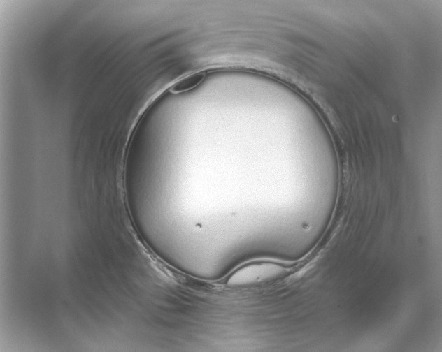 X0000074321529200609230013