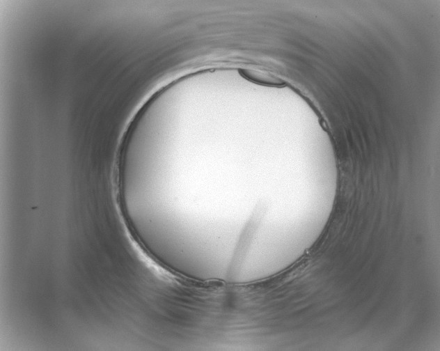 X0000074321531200609230013