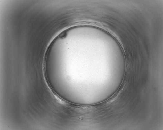 X0000074321533200609230013