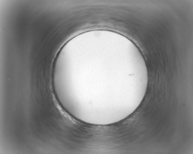 X0000074321534200609230013