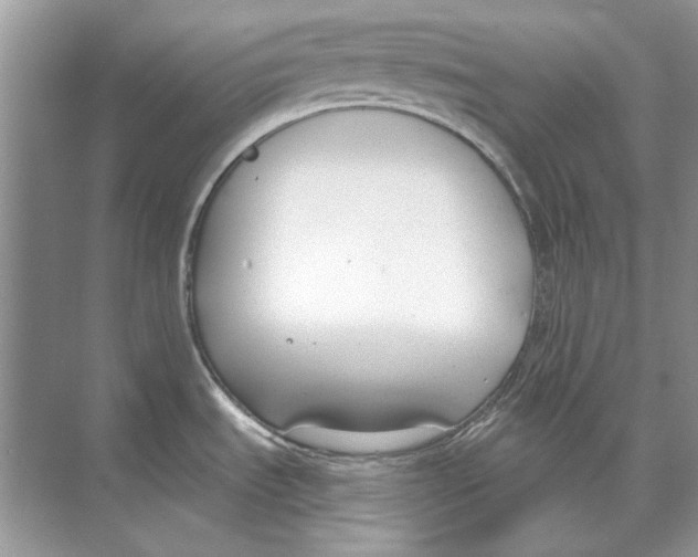 X0000074321535200609230013