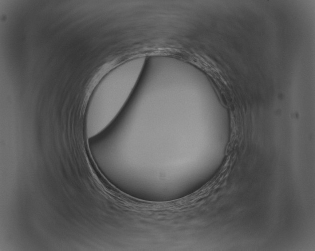 X0000074330003200608251032