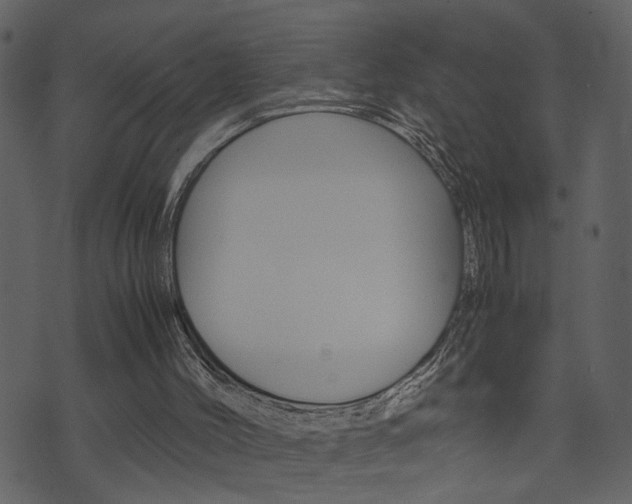 X0000074330004200608251032