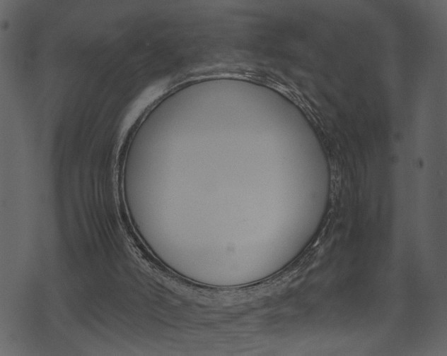 X0000074330006200608251032
